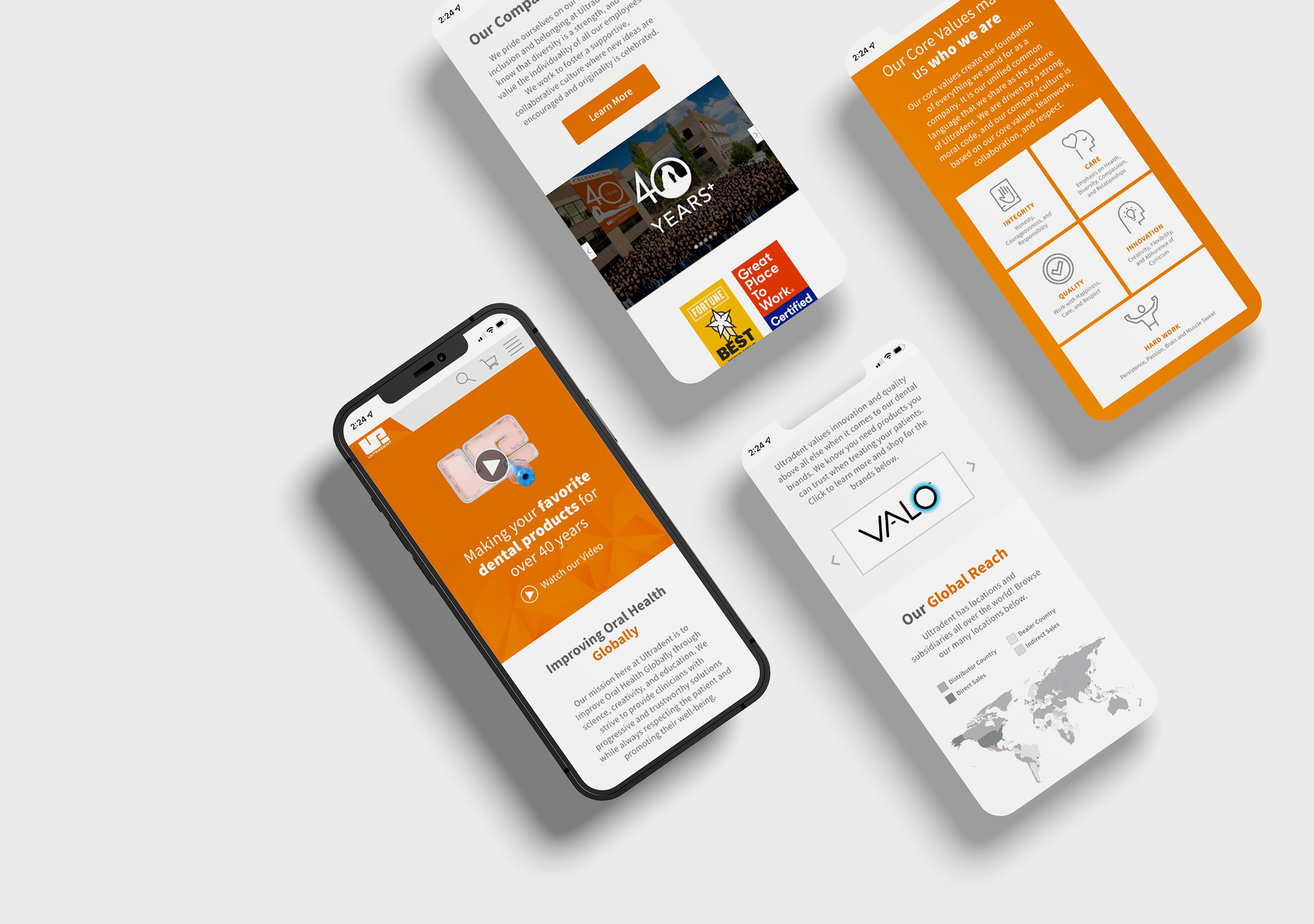 Corporate Campaign Mobile Screens